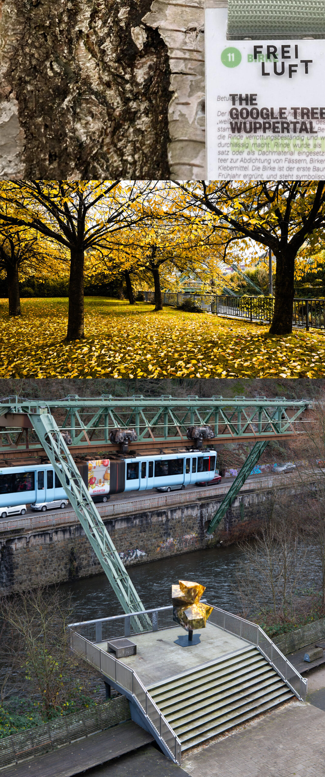 Baumroute Wuppertal